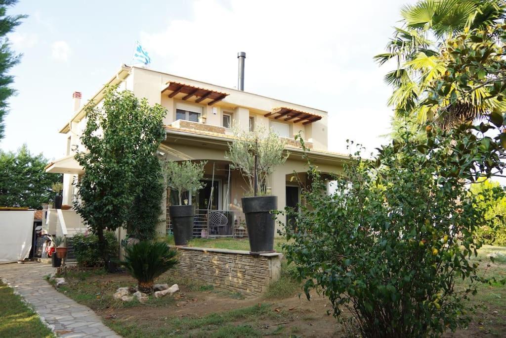 Villa Vasili Τρίκαλα Εξωτερικό φωτογραφία