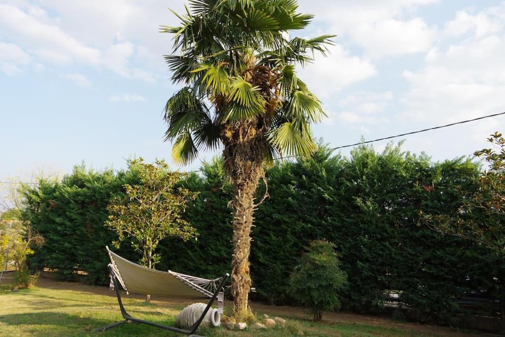 Villa Vasili Τρίκαλα Εξωτερικό φωτογραφία