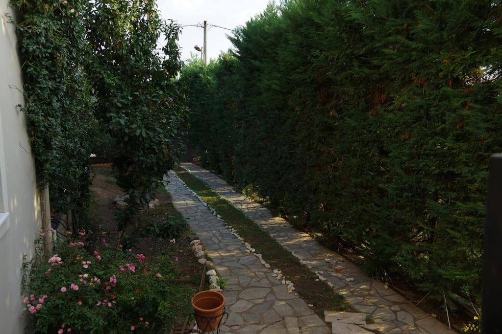 Villa Vasili Τρίκαλα Εξωτερικό φωτογραφία